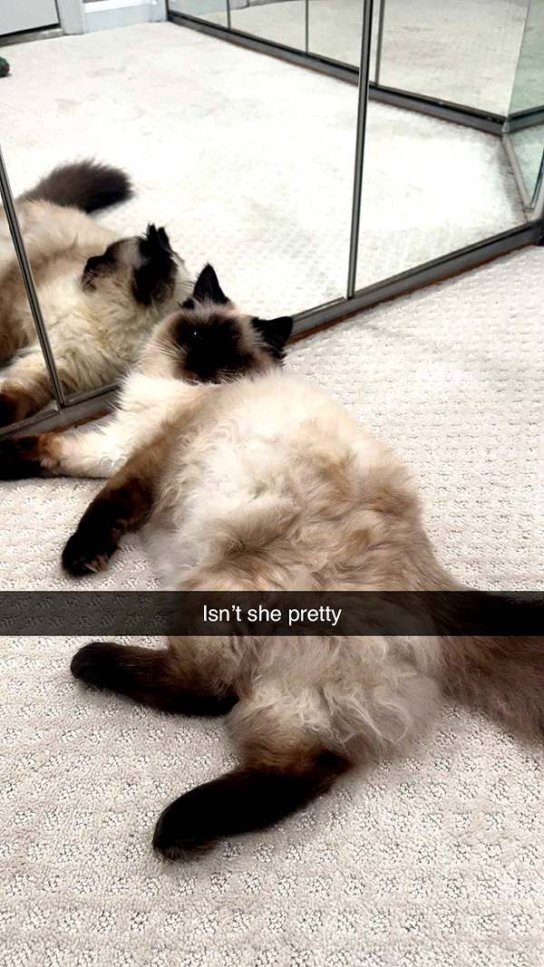 xxxtinacarmella snapchat image archive image