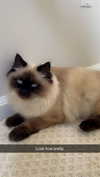 xxxtinacarmella Altpins Profile Picture