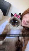 xxxtinacarmella Altpins Profile Picture