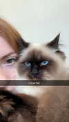 xxxtinacarmella Altpins Profile Picture