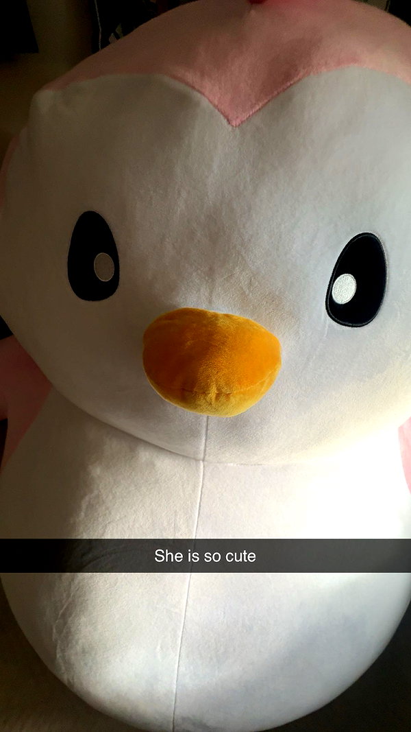 xxxtinacarmella snapchat image archive image