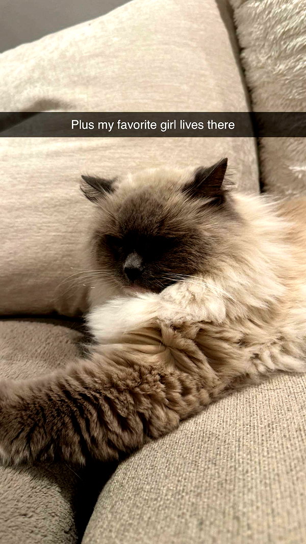 xxxtinacarmella snapchat image archive image
