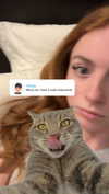 xxxtinacarmella Altpins Profile Picture