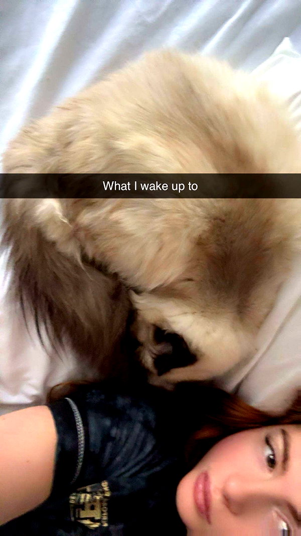 xxxtinacarmella snapchat image archive image
