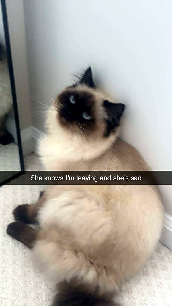 xxxtinacarmella snapchat image archive image