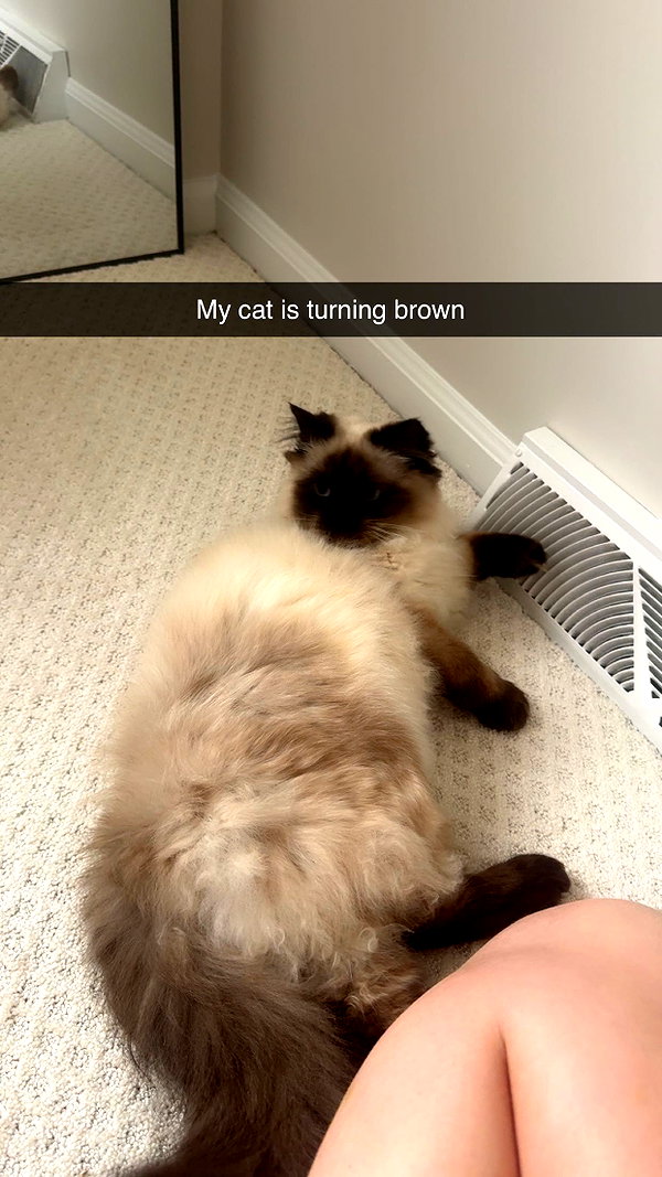 xxxtinacarmella snapchat image archive image