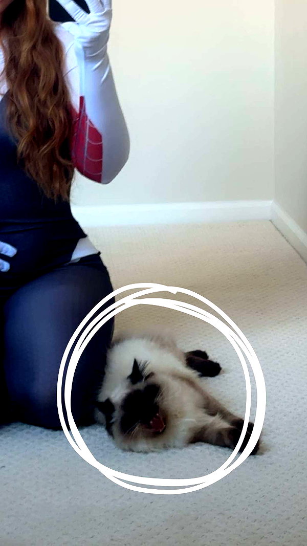 xxxtinacarmella snapchat image archive image