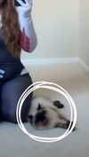 xxxtinacarmella Altpins Profile Picture