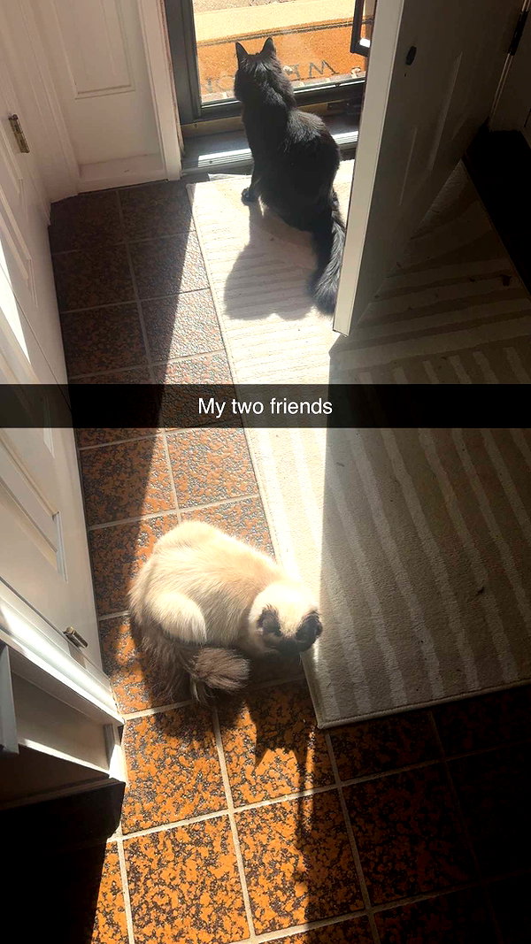 xxxtinacarmella snapchat image archive image