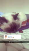 xxxtinacarmella Altpins Profile Picture