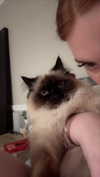 xxxtinacarmella Altpins Profile Picture