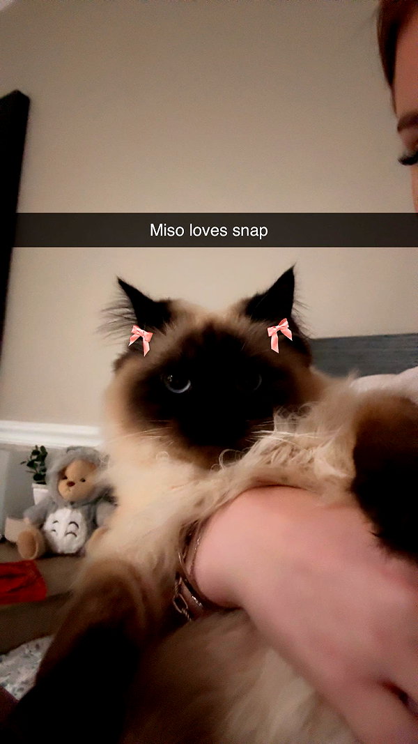 xxxtinacarmella snapchat image archive image