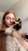 xxxtinacarmella Altpins Profile Picture