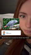 xxxtinacarmella Altpins Profile Picture