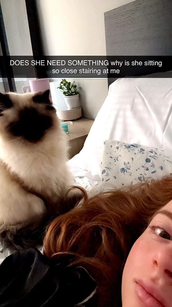 xxxtinacarmella snapchat image archive image