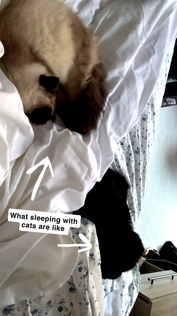 xxxtinacarmella snapchat image archive image