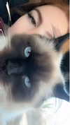 xxxtinacarmella Altpins Profile Picture