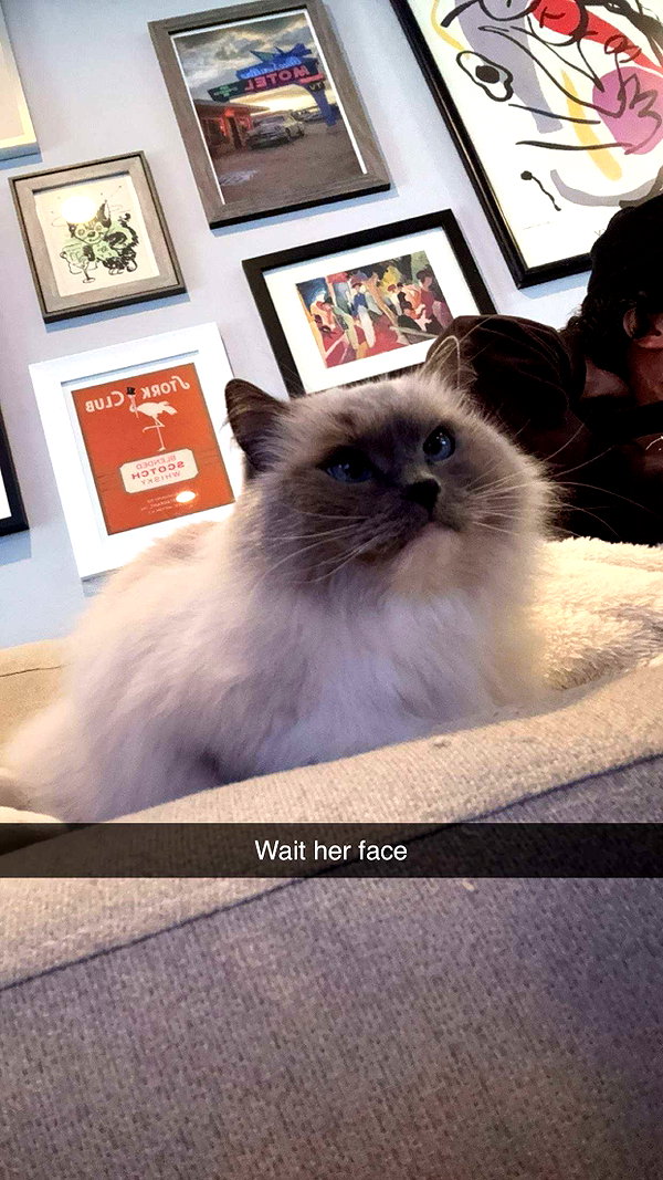 xxxtinacarmella snapchat image archive image