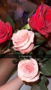xxxtinacarmella Altpins Profile Picture