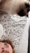 xxxtinacarmella Altpins Profile Picture