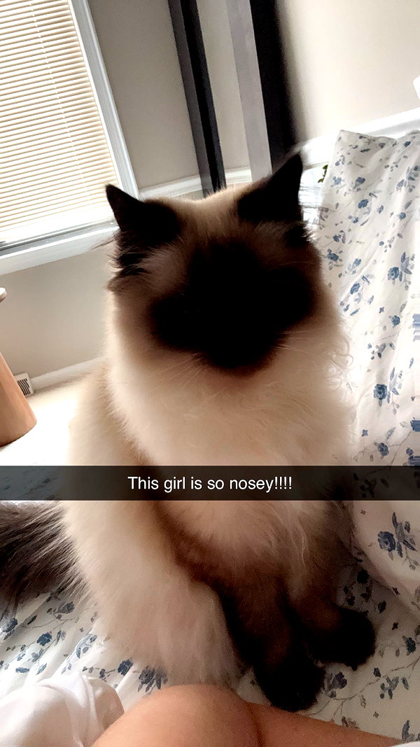 xxxtinacarmella snapchat image archive image