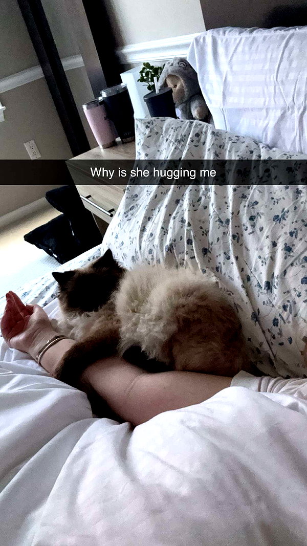 xxxtinacarmella snapchat image archive image