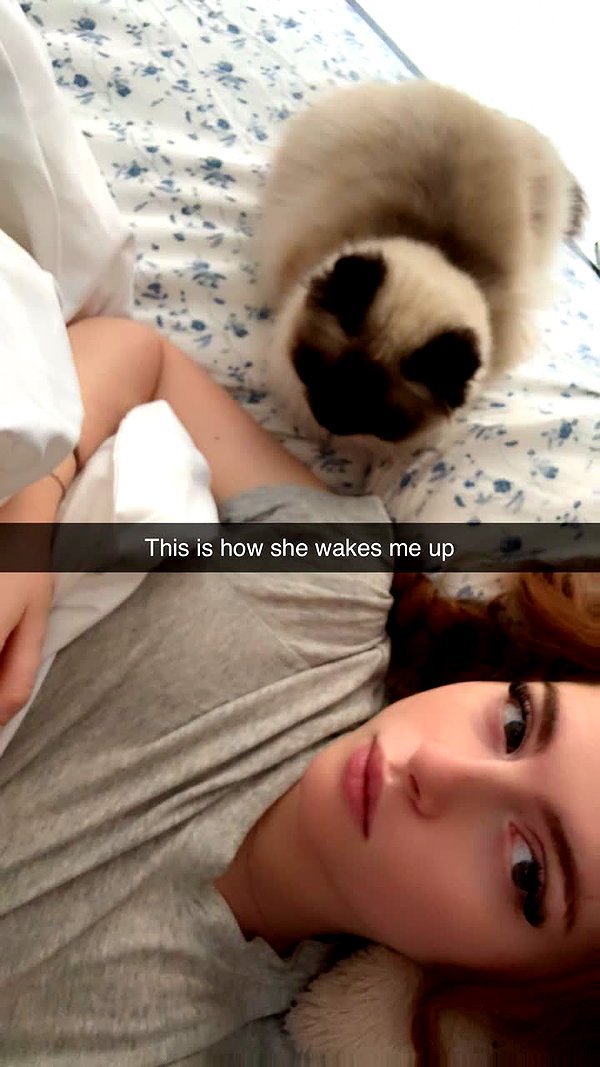 xxxtinacarmella snapchat image archive image