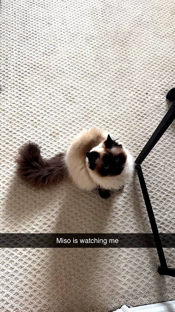 xxxtinacarmella snapchat image archive image