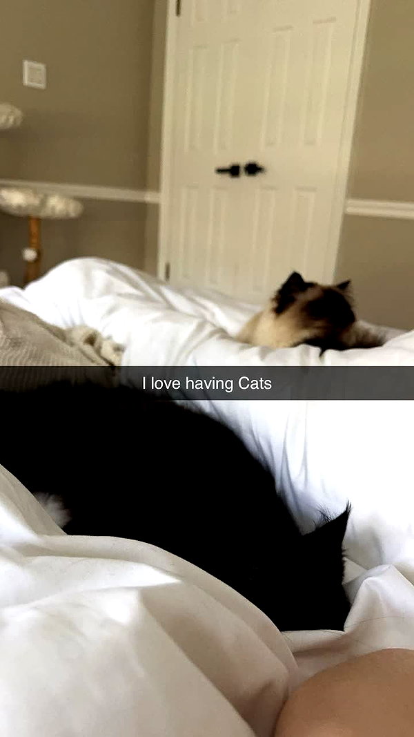 xxxtinacarmella snapchat image archive image