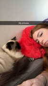 xxxtinacarmella Altpins Profile Picture