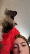 xxxtinacarmella Altpins Profile Picture