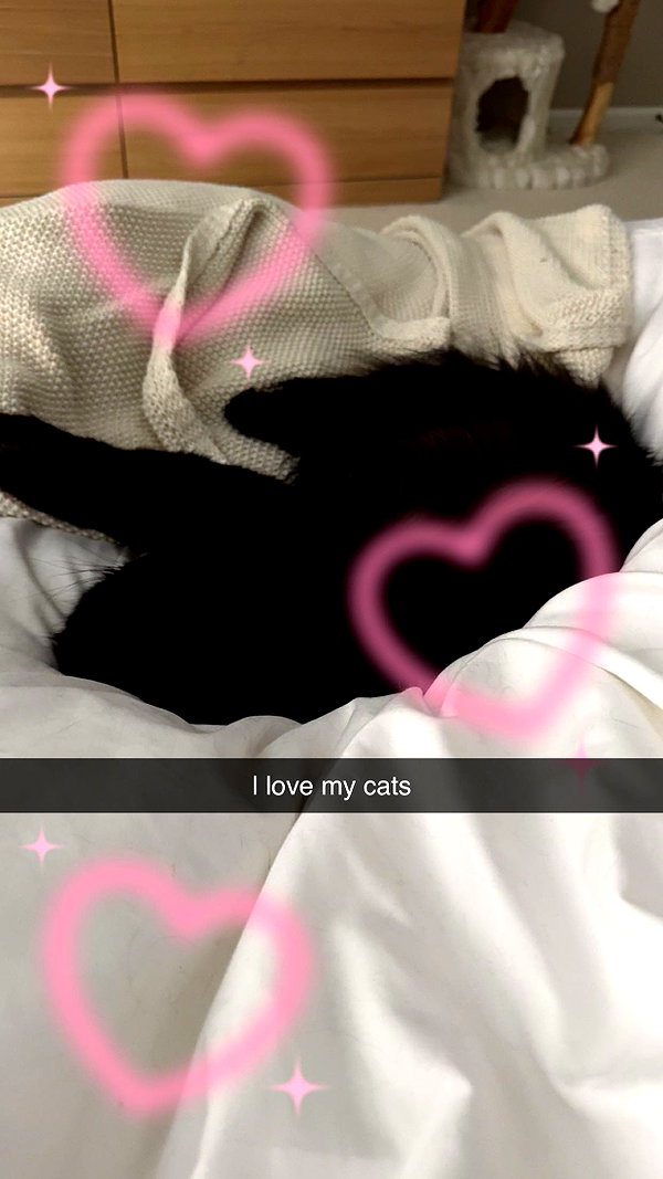 xxxtinacarmella snapchat image archive image