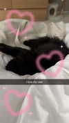 xxxtinacarmella Altpins Profile Picture
