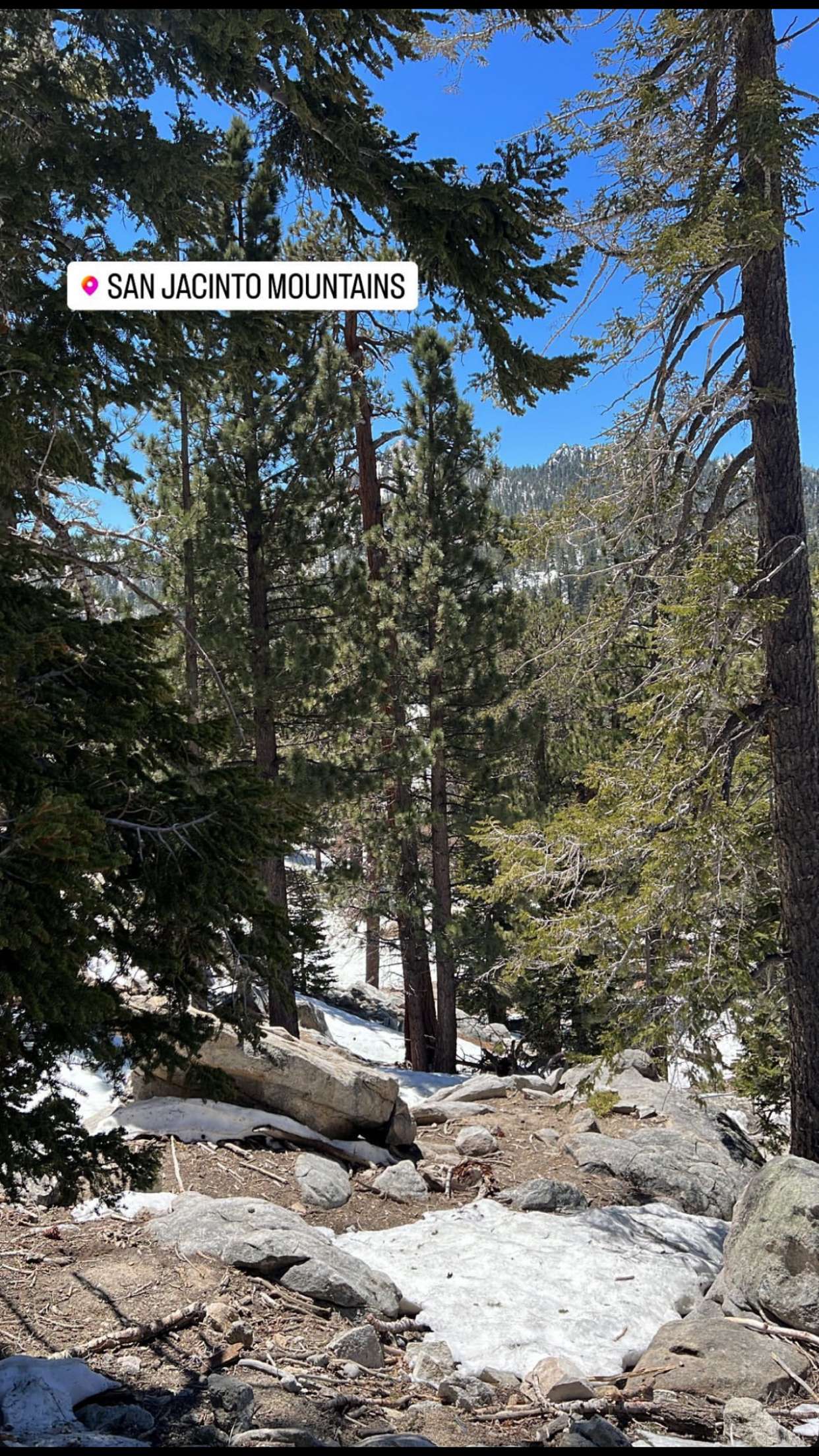 xxxtinacarmella snapchat image archive image