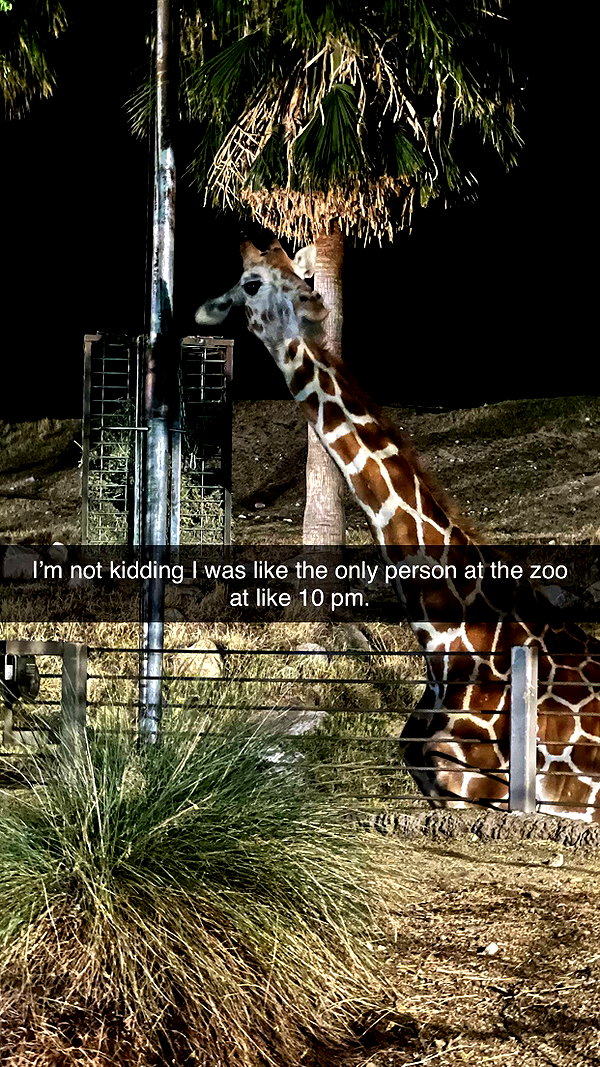 xxxtinacarmella snapchat image archive image