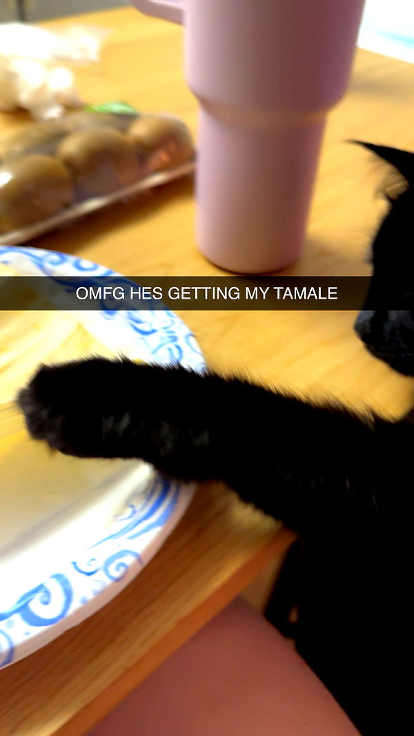 xxxtinacarmella snapchat image archive image