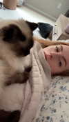 xxxtinacarmella Altpins Profile Picture