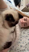 xxxtinacarmella Altpins Profile Picture