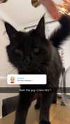 xxxtinacarmella Altpins Profile Picture