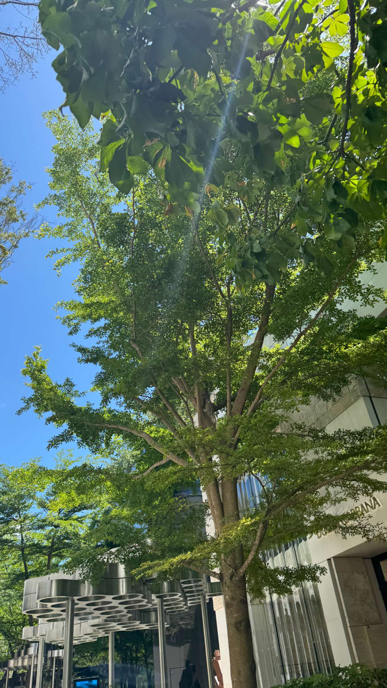 xxxtinacarmella snapchat image archive image