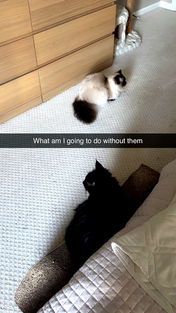 xxxtinacarmella snapchat image archive image