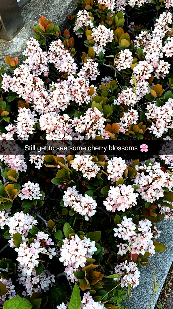 xxxtinacarmella snapchat image archive image