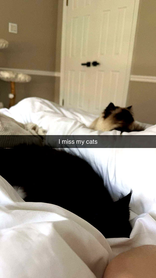 xxxtinacarmella snapchat image archive image