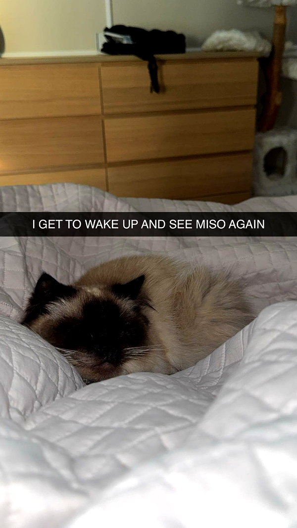 xxxtinacarmella snapchat image archive image