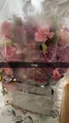 xxxtinacarmella Altpins Profile Picture