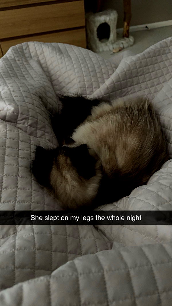 xxxtinacarmella snapchat image archive image