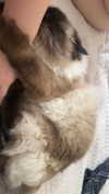 xxxtinacarmella Altpins Profile Picture
