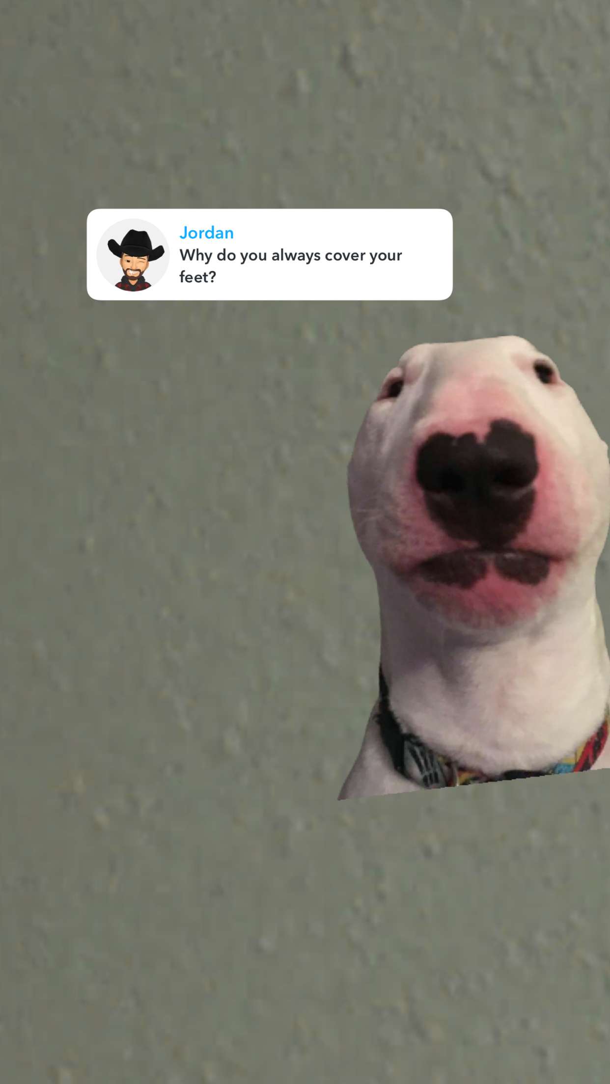 xxxtinacarmella snapchat image archive image