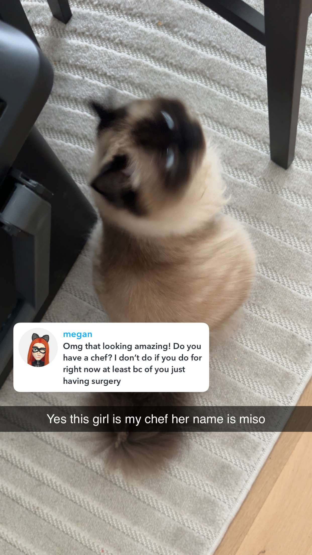 xxxtinacarmella snapchat image archive image