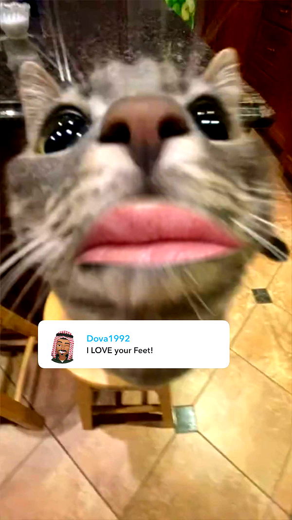 xxxtinacarmella image ~ Altpins